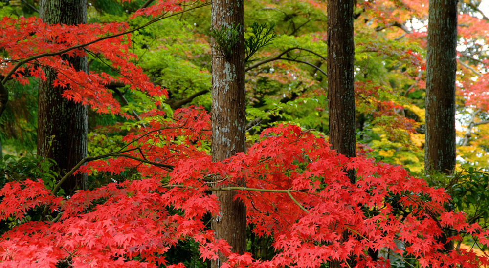 0Cd97b8e F23f 4884 Bc87 0Ef4cada2cc0 5